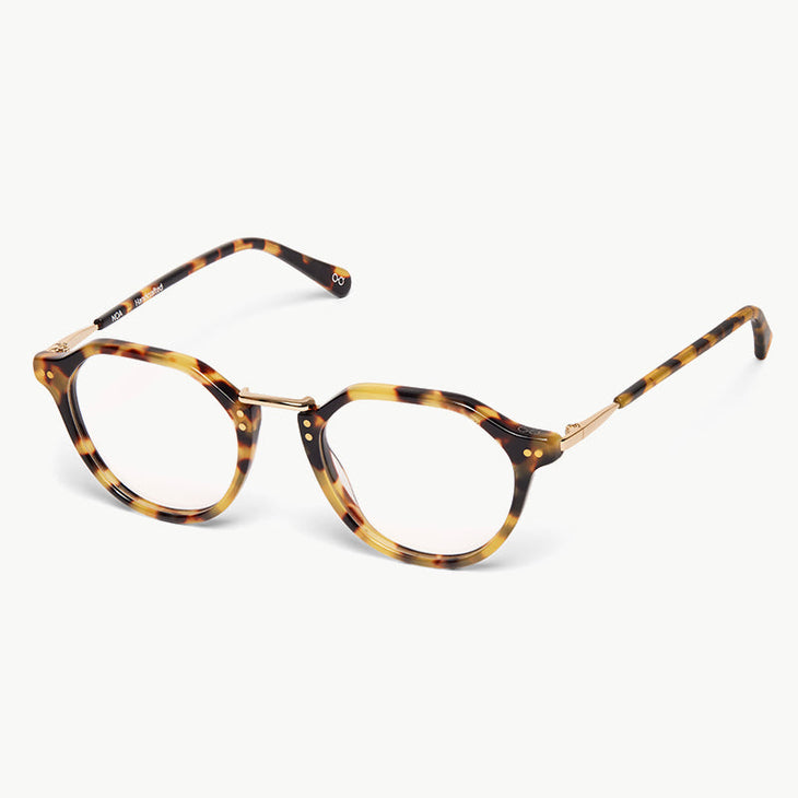 Noa Autofit Varifocal