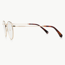 Relle Avulux Anti Migraine Glasses